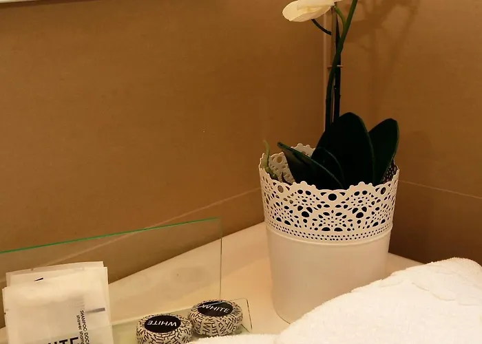 Hotel Argentina 3*